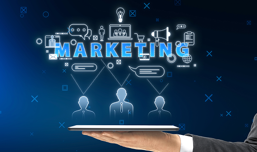Detailed Marketing Insights 