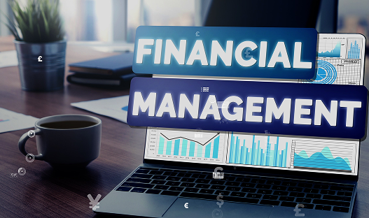 Financial Management 