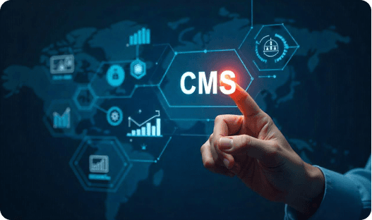 CMS Website Development